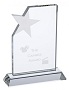 Cannes Star Crystal Award  