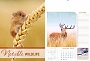 Notable Wildlife Wall. Notable Wildlife Wall.