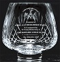 Medium trophy bowl Medium trophy bowl